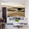 Fototapeta Rolling Hills W Sepii