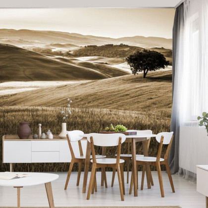 Fototapeta Rolling Hills W Sepii