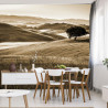 Fototapeta Rolling Hills W Sepii