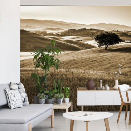 Fototapeta Rolling Hills W Sepii