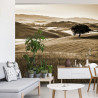 Fototapeta Rolling Hills W Sepii