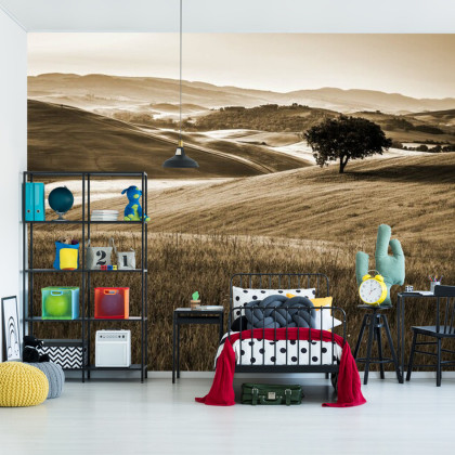 Fototapeta Rolling Hills W Sepii