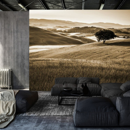 Fototapeta Rolling Hills W Sepii