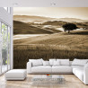 Fototapeta Rolling Hills W Sepii