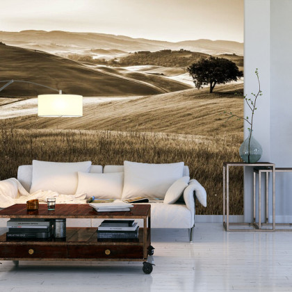 Fototapeta Rolling Hills W Sepii