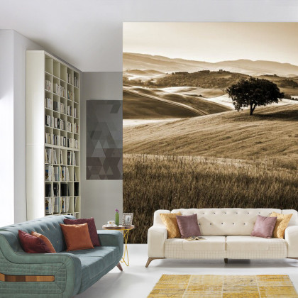 Fototapeta Rolling Hills W Sepii