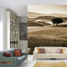 Fototapeta Rolling Hills W Sepii