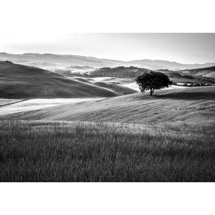 Fototapeta Rolling Hills W Czerni I Bieli