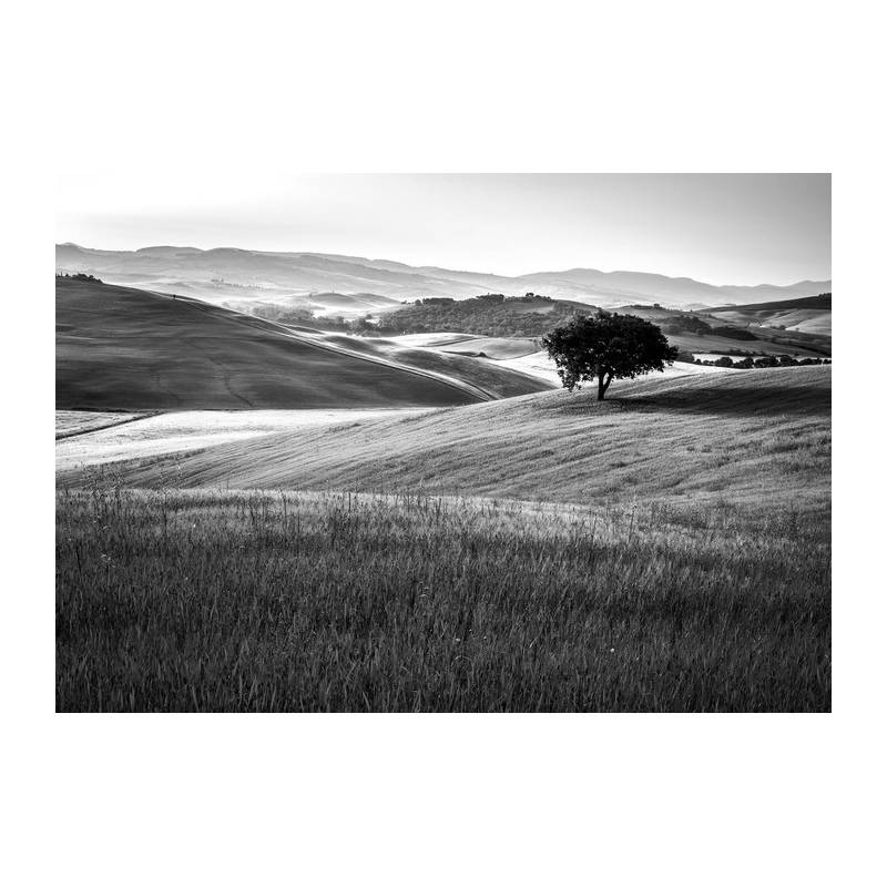 Fototapeta Rolling Hills W Czerni I Bieli