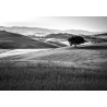 Fototapeta Rolling Hills W Czerni I Bieli