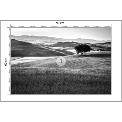 Fototapeta Rolling Hills W Czerni I Bieli