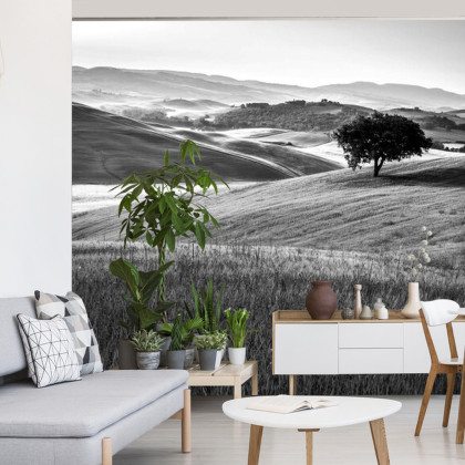 Fototapeta Rolling Hills W Czerni I Bieli