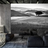 Fototapeta Rolling Hills W Czerni I Bieli