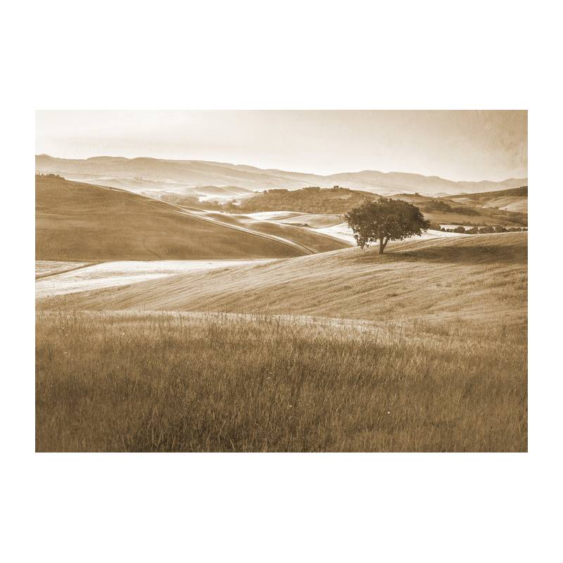 Fototapeta Rolling Hills Wyblakły Rocznik W Sepii