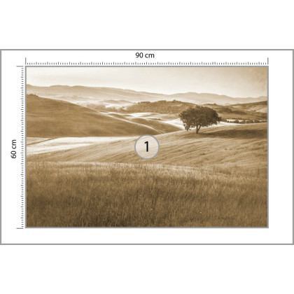 Fototapeta Rolling Hills Wyblakły Rocznik W Sepii