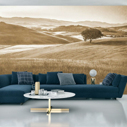 Fototapeta Rolling Hills Wyblakły Rocznik W Sepii