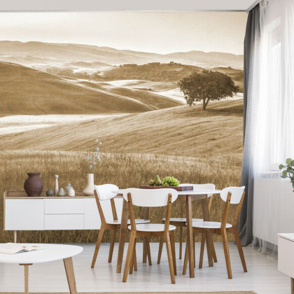 Fototapeta Rolling Hills Wyblakły Rocznik W Sepii