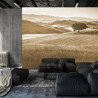 Fototapeta Rolling Hills Wyblakły Rocznik W Sepii