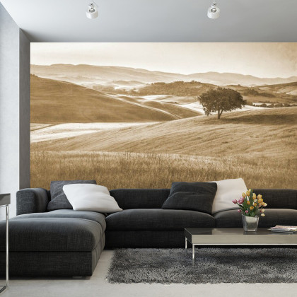 Fototapeta Rolling Hills Wyblakły Rocznik W Sepii