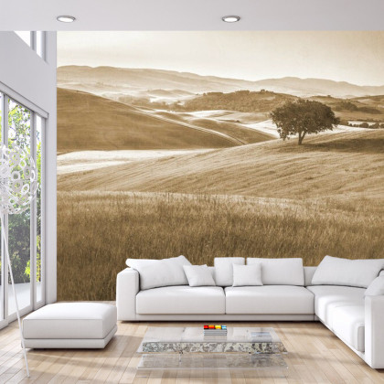Fototapeta Rolling Hills Wyblakły Rocznik W Sepii