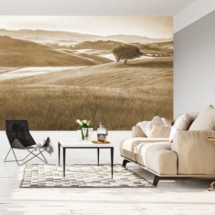 Fototapeta Rolling Hills Wyblakły Rocznik W Sepii