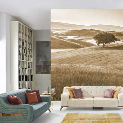 Fototapeta Rolling Hills Wyblakły Rocznik W Sepii