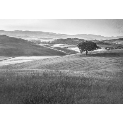 Fototapeta Rolling Hills Faded Vintage W Czerni I Bieli