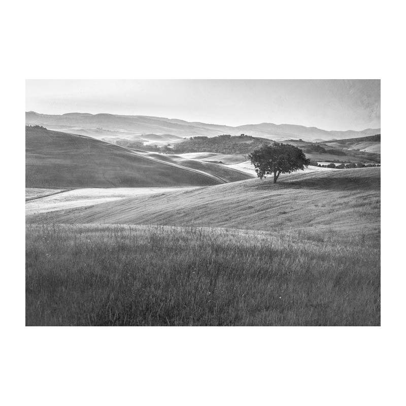Fototapeta Rolling Hills Faded Vintage W Czerni I Bieli