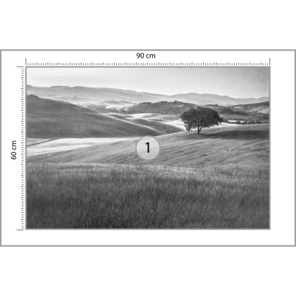 Fototapeta Rolling Hills Faded Vintage W Czerni I Bieli