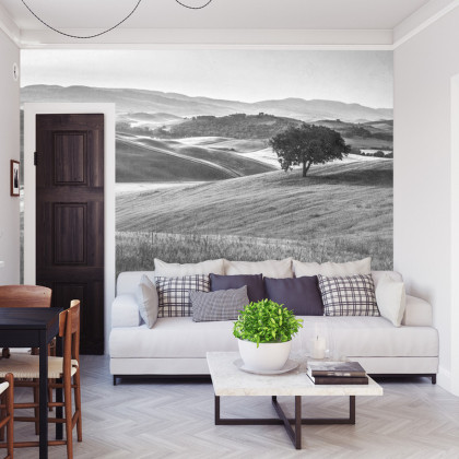 Fototapeta Rolling Hills Faded Vintage W Czerni I Bieli
