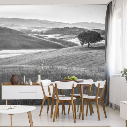 Fototapeta Rolling Hills Faded Vintage W Czerni I Bieli