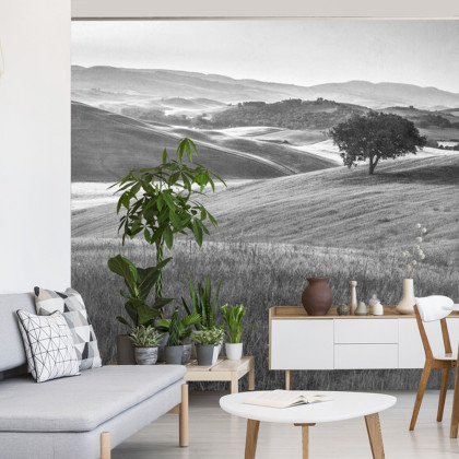 Fototapeta Rolling Hills Faded Vintage W Czerni I Bieli