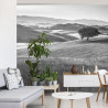 Fototapeta Rolling Hills Faded Vintage W Czerni I Bieli