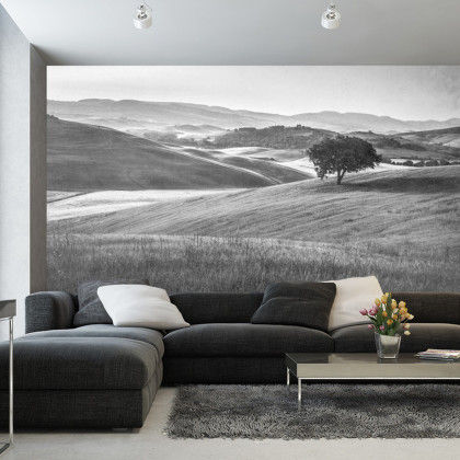 Fototapeta Rolling Hills Faded Vintage W Czerni I Bieli