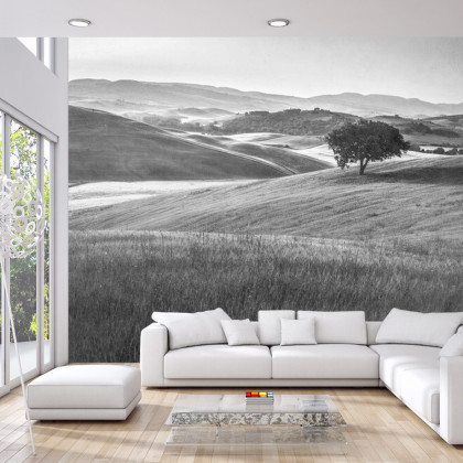 Fototapeta Rolling Hills Faded Vintage W Czerni I Bieli