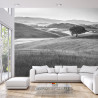 Fototapeta Rolling Hills Faded Vintage W Czerni I Bieli
