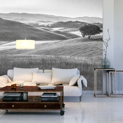 Fototapeta Rolling Hills Faded Vintage W Czerni I Bieli