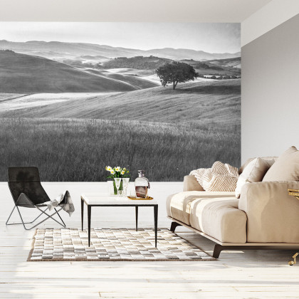 Fototapeta Rolling Hills Faded Vintage W Czerni I Bieli