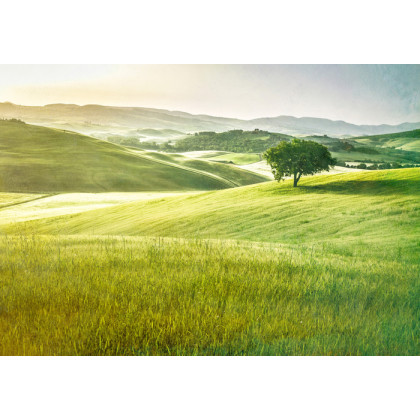 Fototapeta Rolling Hills Wyblakły Vintage
