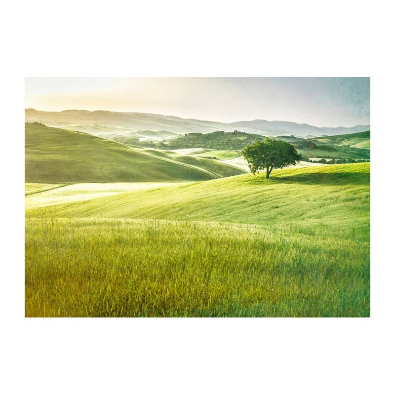 Fototapeta Rolling Hills Wyblakły Vintage