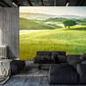 Fototapeta Rolling Hills Wyblakły Vintage