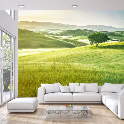 Fototapeta Rolling Hills Wyblakły Vintage