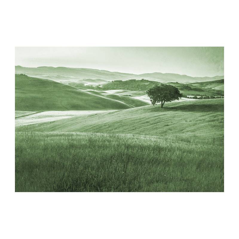 Fototapeta Rolling Hills Faded Vintage W Kolorze Zielonym