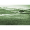 Fototapeta Rolling Hills Faded Vintage W Kolorze Zielonym