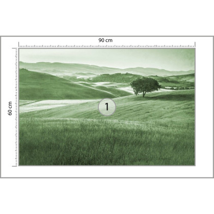 Fototapeta Rolling Hills Faded Vintage W Kolorze Zielonym