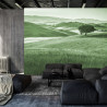 Fototapeta Rolling Hills Faded Vintage W Kolorze Zielonym