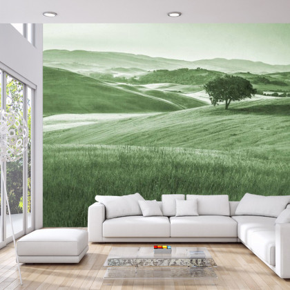 Fototapeta Rolling Hills Faded Vintage W Kolorze Zielonym