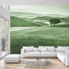 Fototapeta Rolling Hills Faded Vintage W Kolorze Zielonym