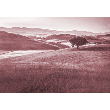 Fototapeta Rolling Hills Faded Vintage W Kolorze Czerwonym