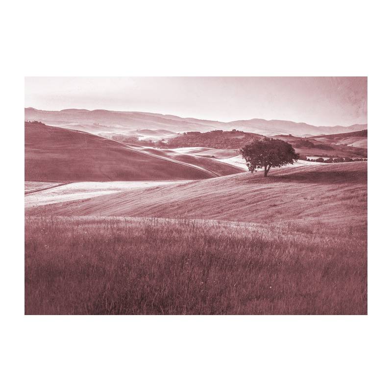 Fototapeta Rolling Hills Faded Vintage W Kolorze Czerwonym